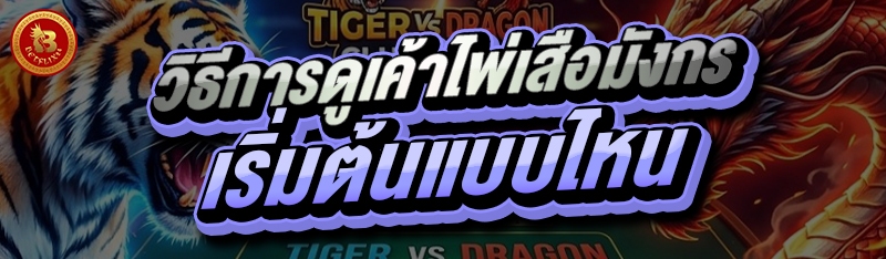 วิธีการดูเค้าไพ่เสือมังกร เริ่มต้นแบบไหน