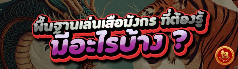 พื้นฐานเล่นเสือมังกร ที่ต้องรู้ มีอะไรบ้าง ?